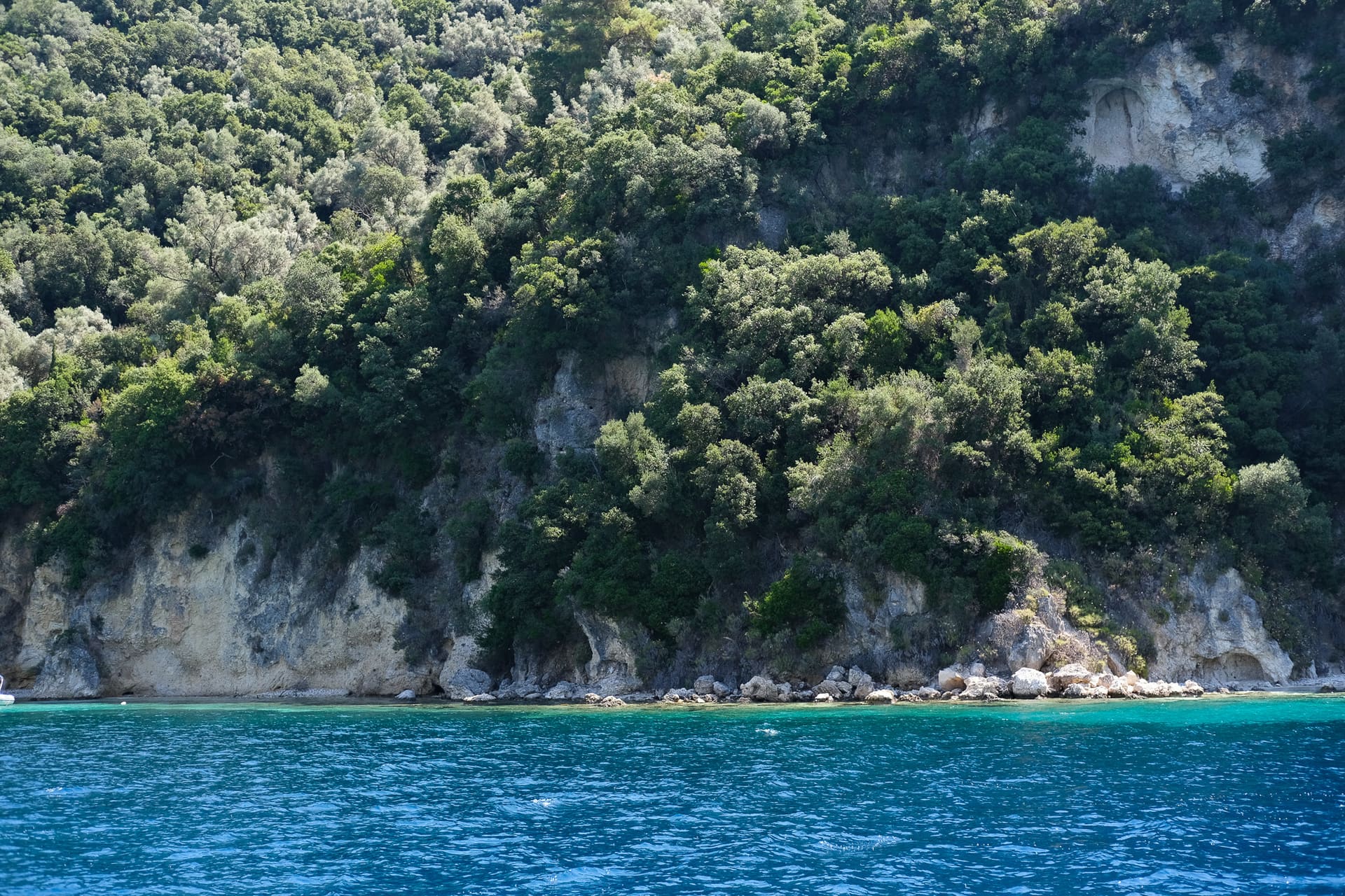 Forested cliffside above the sea